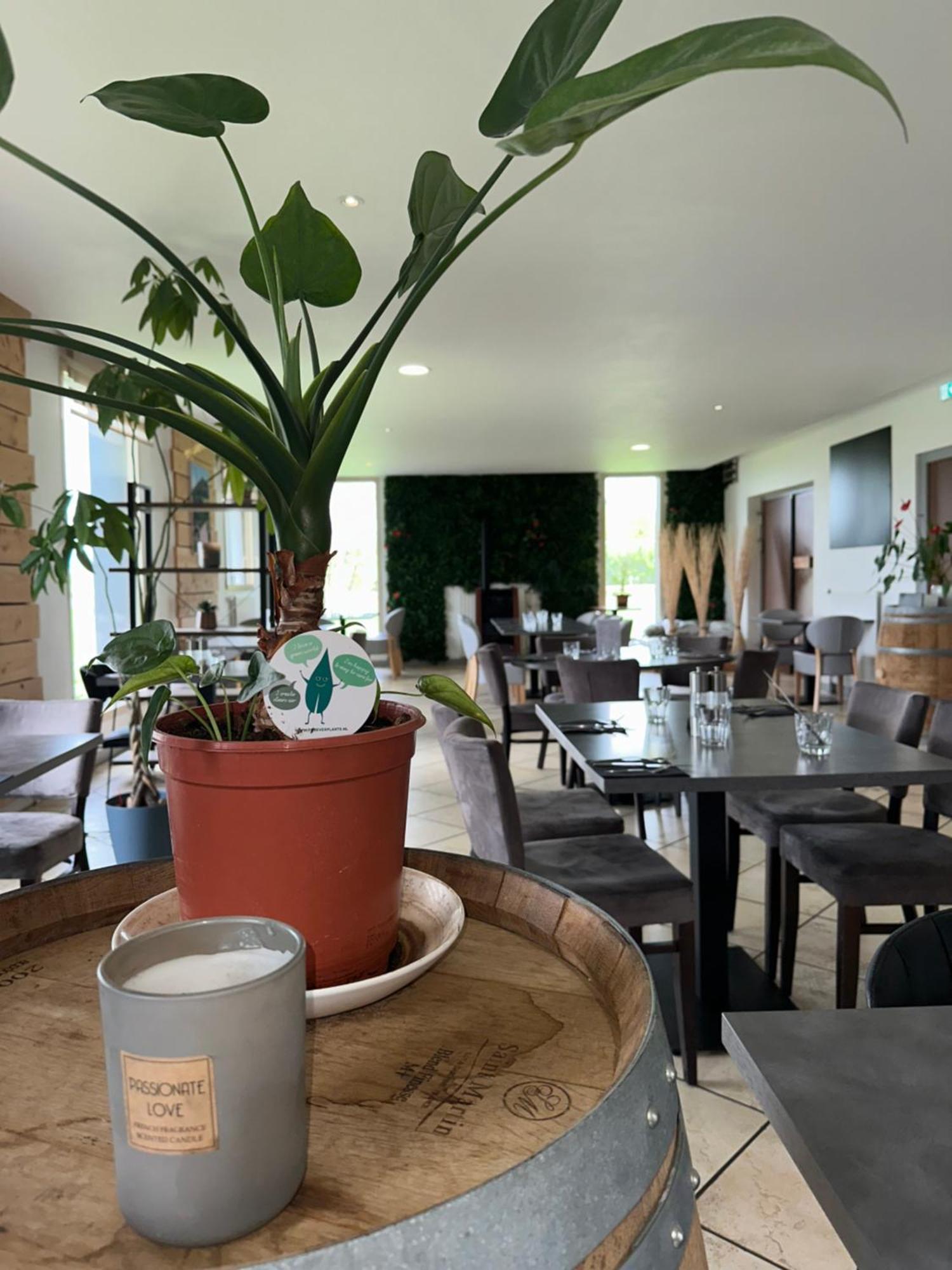 Logis Hotel Volcan Sancy Nébouzat Kültér fotó